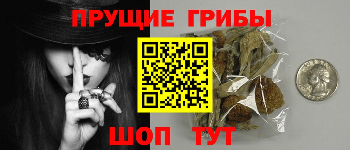 Псилоцибиновые грибы мухоморы Заволжье